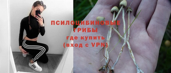 прущие крисы Пролетарск