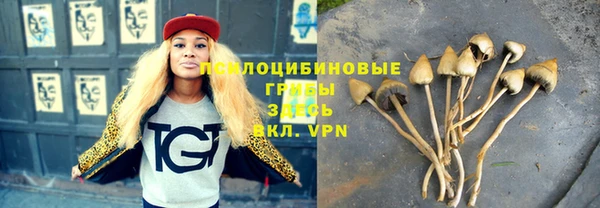 прущие крисы Пролетарск
