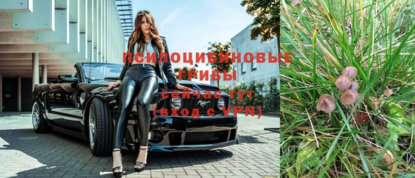 прущие грибы Кущёвская