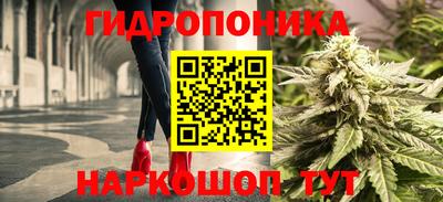 кокс Бийск