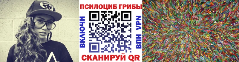 что такое наркотик  Грязи  Галлюциногенные грибы мицелий 
