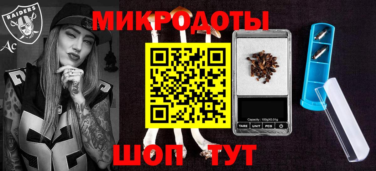 Псилоцибиновые грибы Psilocybine cubensis  Вход с VPN  Галлюциногенные грибы прущие грибы  Грязи 