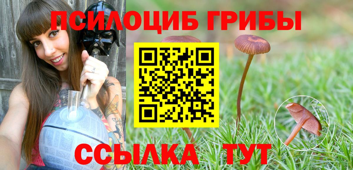 Галлюциногенные грибы мухоморы Грязи