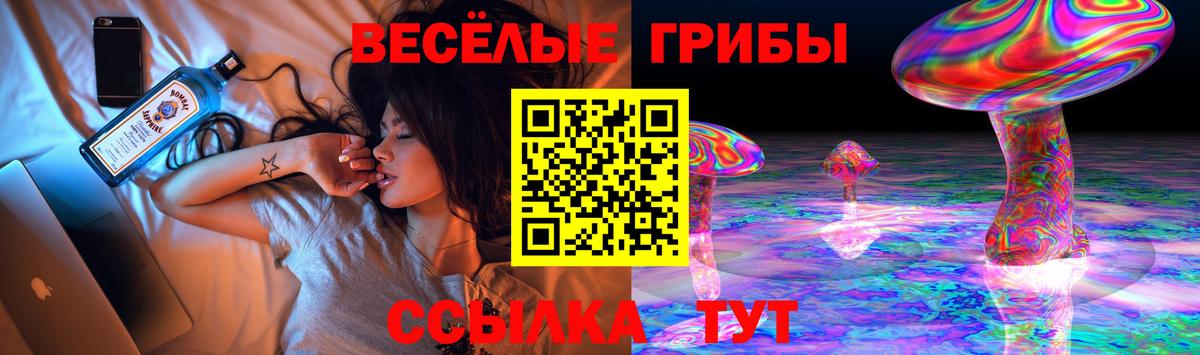 Галлюциногенные грибы Psilocybe Грязи